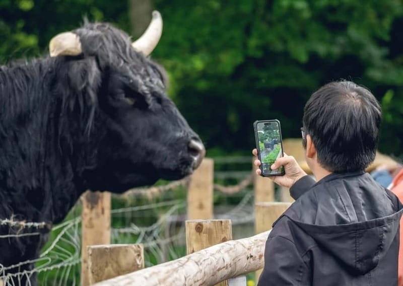 From Edinburgh: Stirling Castle, Kelpies and Loch Lomond - Why this route works so well from Edinburgh