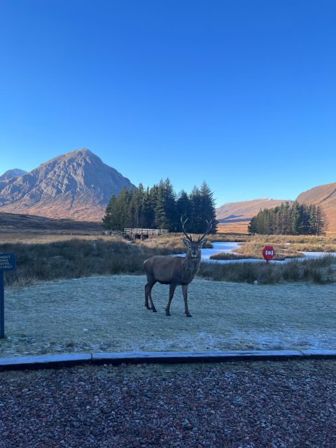 From Edinburgh: The Kelpies, Glencoe & Loch Lomond Day Tour - Glencoe brings scenery and painful history together