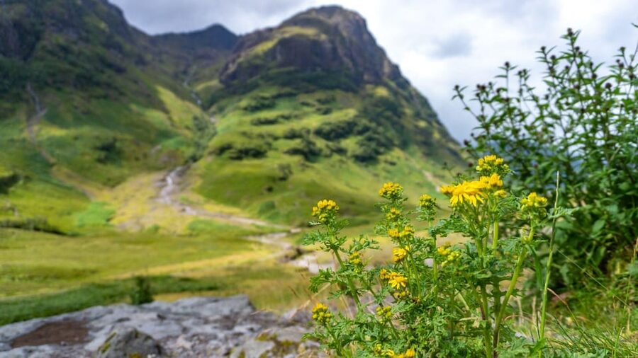 From Glasgow: Jacobite Steam Train & The Highlands Tour - From Glasgow to Loch Lomond and the Trossachs
