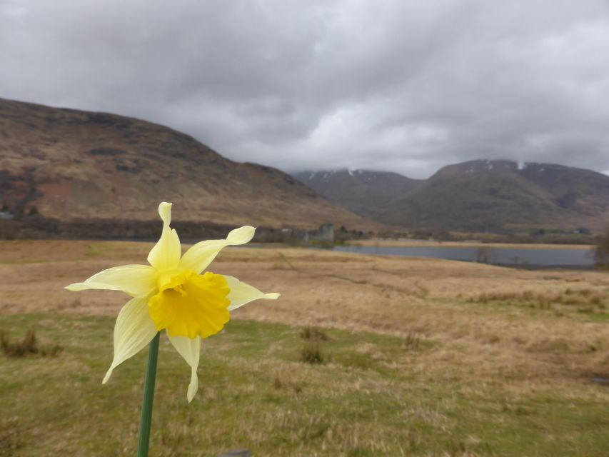 From Glasgow: Scottish Highlands & Isle of Skye 5-Day Tour - Accommodation, meals, and the real cost