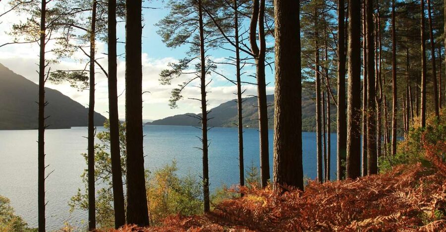 From Glasgow: Stirling Castle & Loch Lomond Tour with Cruise - Stirling Castle, the Key to Scotland