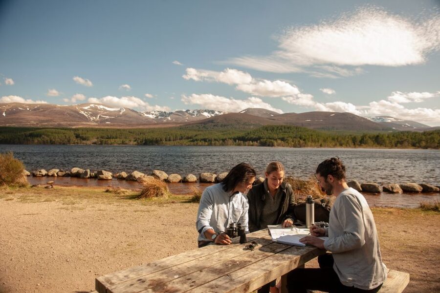 From Inverness: Cairngorms National Park and Whisky Tour - Glenmore Forest Park and the walk to Loch Morlich