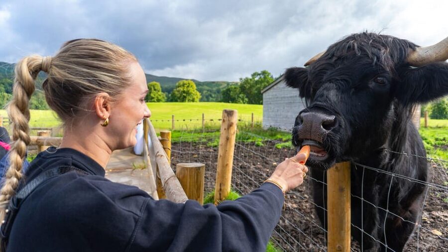 From Inverness: Cawdor Castle, Clava Cairns & The Cairngorms - Key points to know before booking