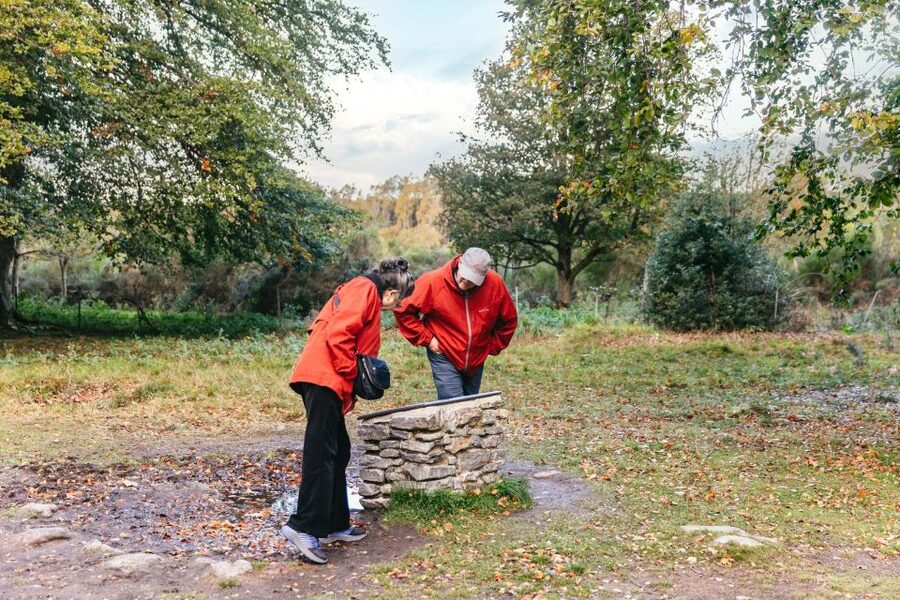From Inverness: Glen Affric, Culloden, and Clava Cairns Tour - Key points at a glance