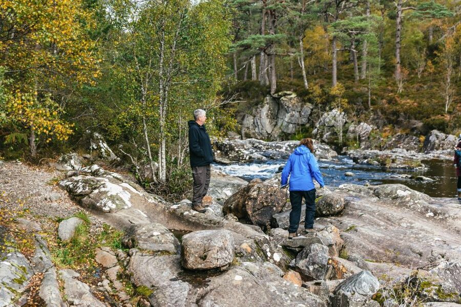 From Inverness: Glen Affric, Culloden, and Clava Cairns Tour - Culloden Battlefield and the cost of one final battle