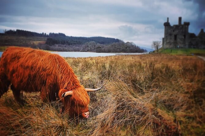 Full Day Private Tour in West Highlands, Oban and Glencoe - Loch Lubnaig gives you an easy first stop