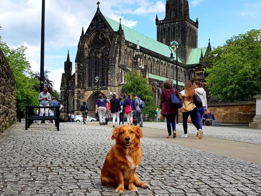 Glasgow: Gander Walking Tour - High Street, street art, and a fried local recommendation