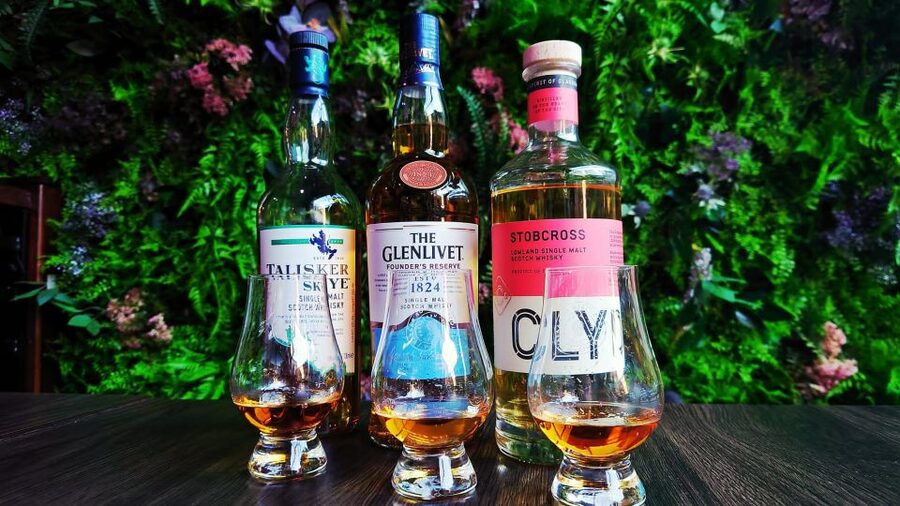 Glasgow: Guided City Highlights Tour & Whisky Tasting (5pm) - The Necropolis and Glasgow’s view of itself