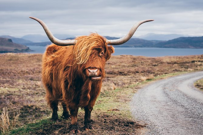Glasgow: Isle of Skye, The Highlands and Loch Ness - 3 Day Tour - Fort William and Britain’s highest mountain