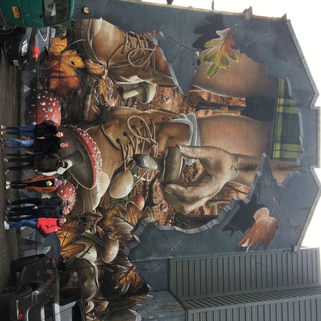 Glasgow: Street Art Guided Walking Tour - SPACEMAN and the changing city