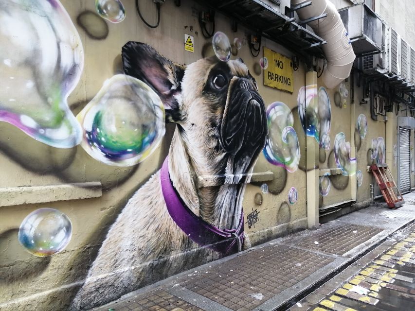 Glasgow: Street Art Guided Walking Tour - The Clutha and the emotional side of the route
