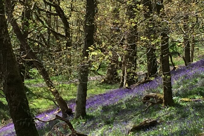 Half Day Loch Katrine Explorer Private Ebike Tour - History, graves, film sites, and Victorian engineering