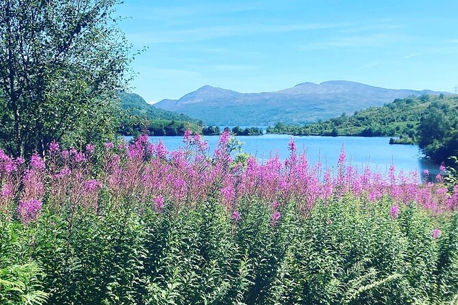 Half Day Loch Katrine Explorer Private Ebike Tour - What the $308.51 price means