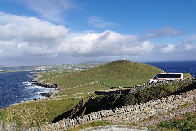 Half Day Private Tour with Puffins, Ponies and Past Shetland - A careful visit with Carol’s Ponies
