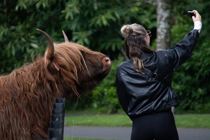 Highlands Cows Glencoe and Castles Private Tour from Glasgow - Kilchurn Castle and St Conan’s Kirk