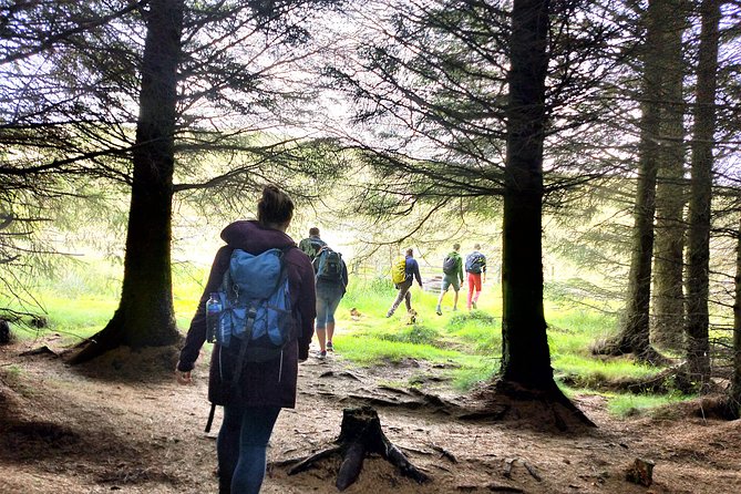 Hill & Nature Hike - Discover Real Edinburgh With a Local Expert - Is $116.68 good value?