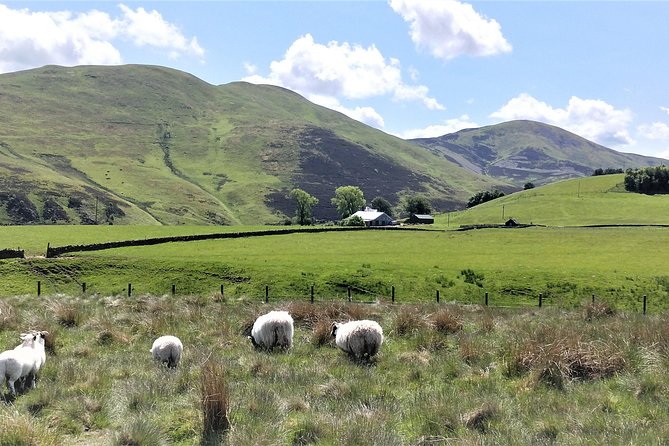 Hill & Nature Hike - Discover Real Edinburgh With a Local Expert - Who should book this hike?