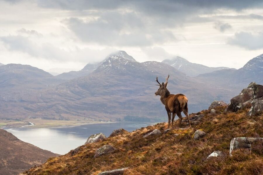 Inverness: Applecross, Loch Carron & Wild Highlands Day Tour - Weather, clothing, and comfort tips