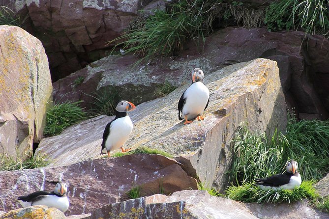 Inverness: John O'Groats, Dunrobin Castle & the Far North - Wick and lunch on your own
