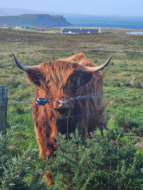 Isle of Skye: Tour the highlights and hidden beauties. - Why this private Skye tour works so well
