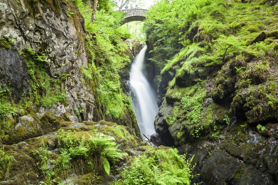 Lake District 3-Day Small Group Tour from Edinburgh - Day 3: Whinlatter Forest, Buttermere, Honister, and Borrowdale
