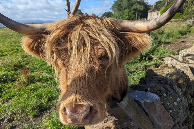 Loch Lomond, Highland Cows, Victorian Town, Castle Half-Day Tour - Callander, the Victorian gateway to the Highlands