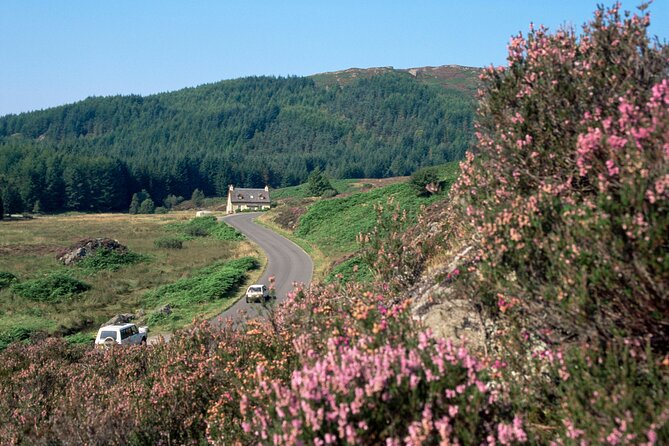 Loch Lomond National Park & Stirling Castle Full Day Tour - Key points to know before you book