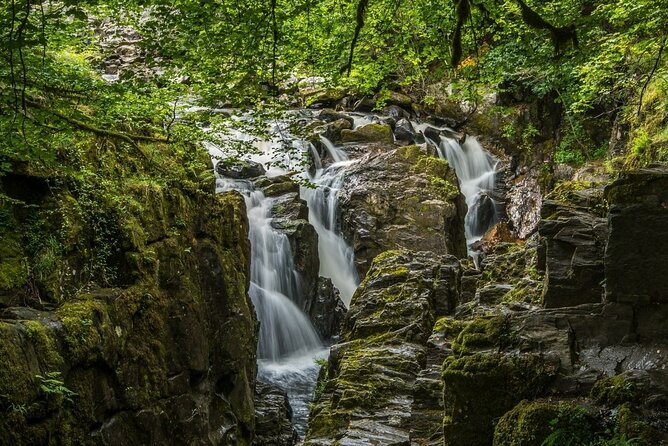 Loch Ness Cruise, Scenic Walk, Whisky & Glencoe Tour - Edinburgh - The Hermitage: your best early walk