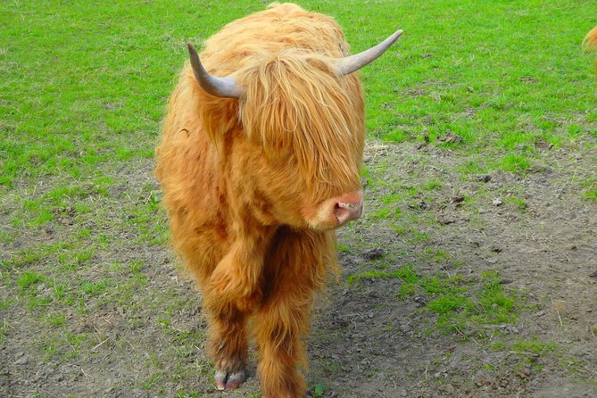Loch Ness & Culloden Battlefield Private Tour from Inverness - Who gets the best value from this tour?
