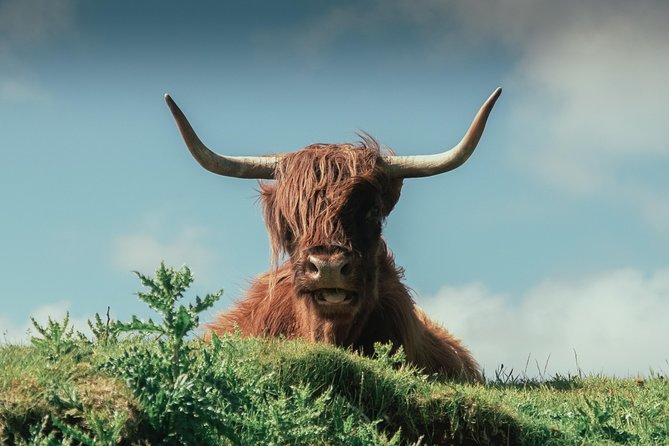 Loch Ness, Glen Coe & The Highlands Day Tour from Edinburgh - Fort Augustus and Loch Ness: cruise or canal walk