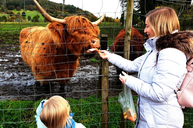 Loch Ness, Glencoe and the Highlands Private Day Tour - From the Forth Bridges to Scotland’s royal past