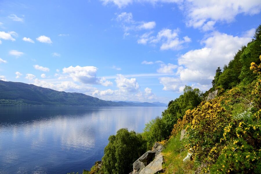 Loch Ness: Urquhart Castle Round-Trip Cruise - Who will enjoy this cruise most