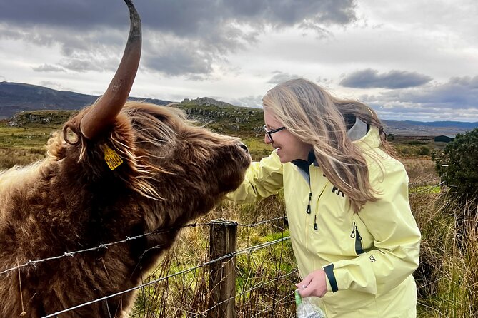 'Luke Skye-Walkers' 1 Day Isle of Skye Adventure + Hike Options - Loch Ness cows and the road through Glenmoriston