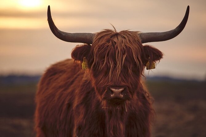 Luxury Private Tour of The Highlands & Loch Ness from Edinburgh - Through the Trossachs National Park