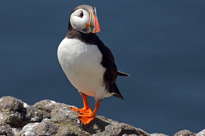 North East Coastal Trail Small Group Day Tour from Aberdeen - Bow Fiddle Rock, a classic Moray coast photograph