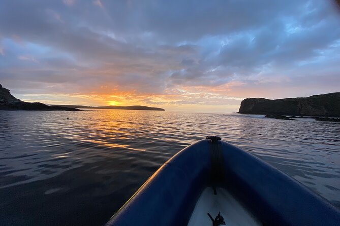 Northern Islands RIB Tour - Seals, porpoises, and the chance of bigger wildlife