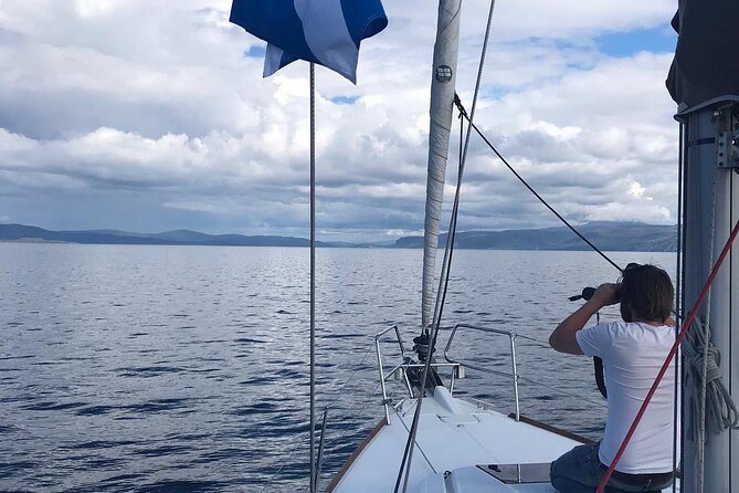 One Day Private Sailing from Oban Marina with Lunch - Setting off from Oban Marina at 10:00 a.m.