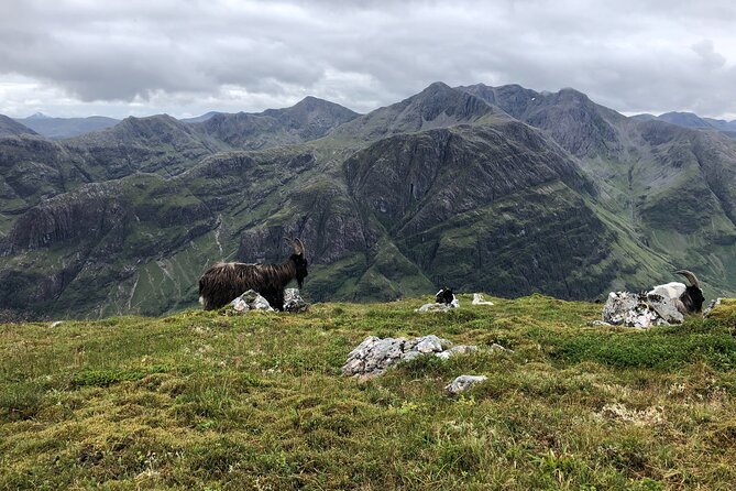 Private Guided Mountain Walking Experience in the Cairngorms - Who should book this walk?