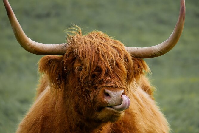 Private Luxury Mini Highlands Tour From Edinburgh - Braveheart - Callander marks the move into the Trossachs