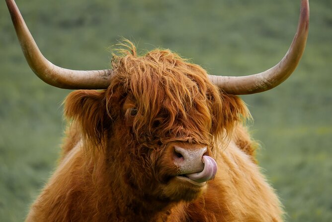 Private Luxury Tour of Loch Lomond, Glencoe & The Highlands - Why this private Highland day works