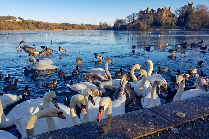 Private Luxury Tour of Loch Lomond, Glencoe & The Highlands - Kilchurn Castle beside Loch Awe