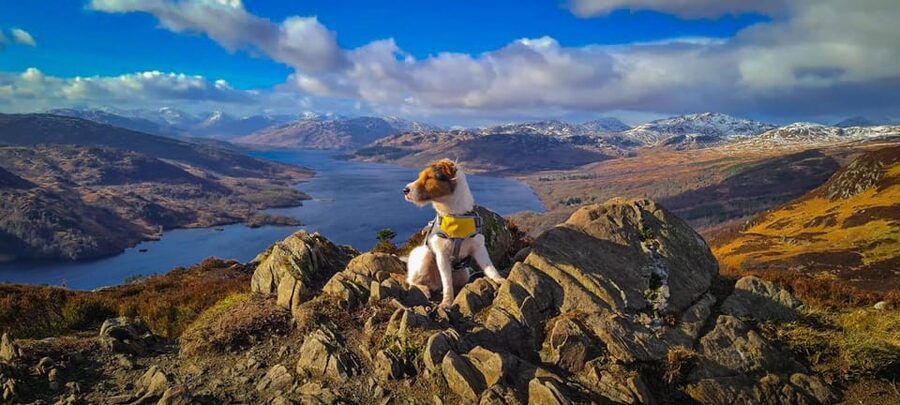 Private Tour of Highlands, Lochs & Castles from Edinburgh - Loch Awe and the ruins of Kilchurn Castle