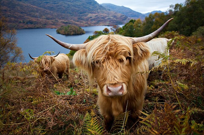 Private Tour of Loch Ness, Glencoe and Highlands from Edinburgh - Pitlochry gives you a practical break