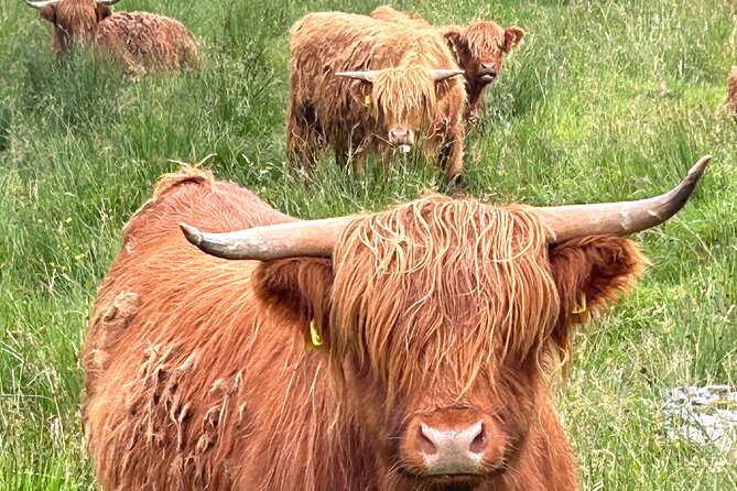 Private Tour of Loch Ness, Glencoe and Highlands from Edinburgh - Fort Augustus and Loch Ness after midday
