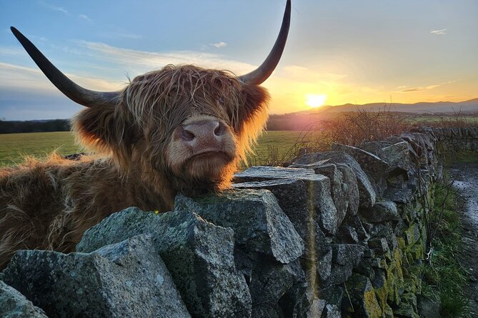 Private Tour of the Scottish Highlands from Edinburgh - Loch Lomond and the village of Luss