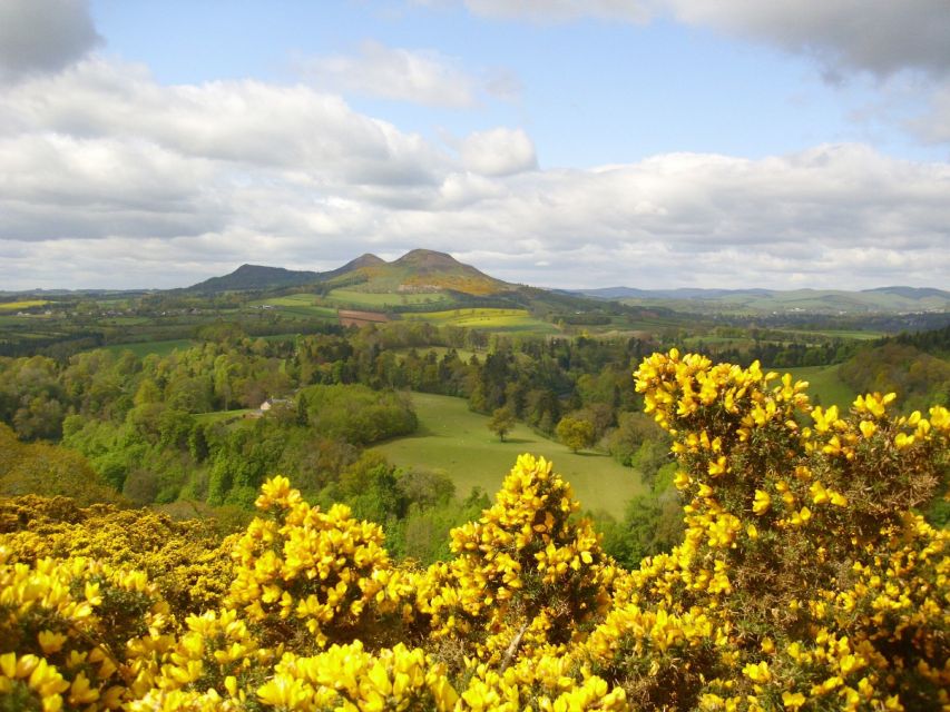 Rosslyn Chapel & Scottish Borders Tour from Edinburgh - Should you book the Rosslyn Chapel and Scottish Borders tour?