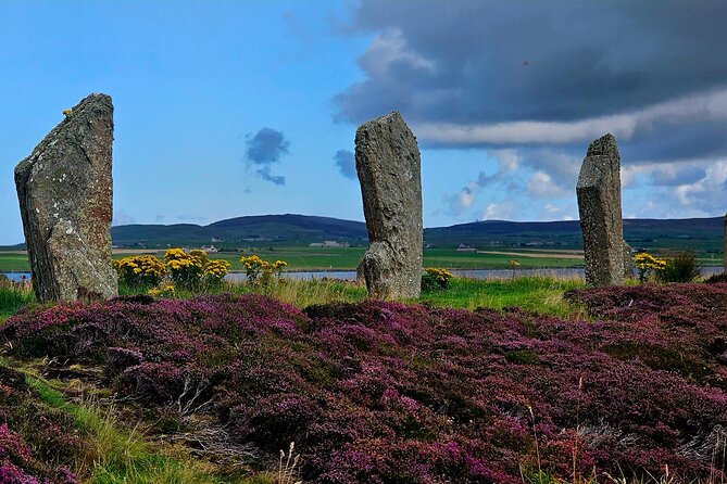 Scapa Tours - Why this private Orkney route works so well