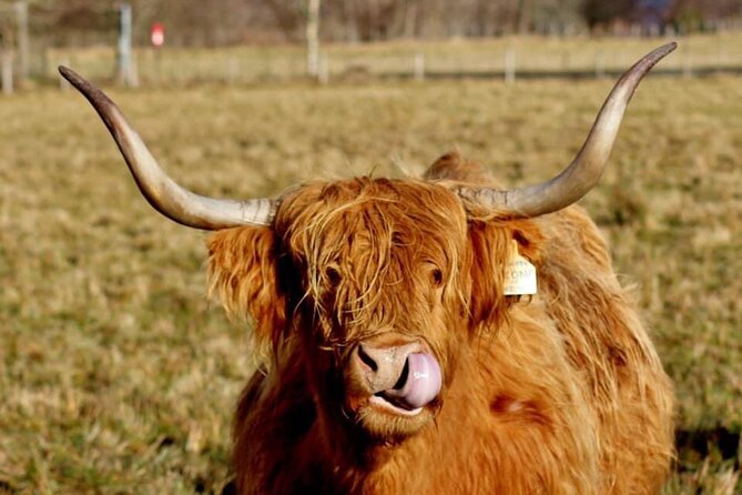 Scotland Lochs & Glens Day Tour - Callander, the old gateway to the Highlands
