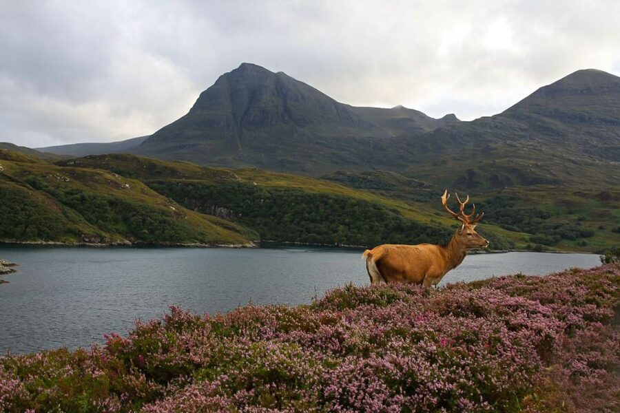 Scotland: Orkney and Northern Coast 5-Day Tour - Day 1: Stirling, Doune, the lochs, and Loch Ness