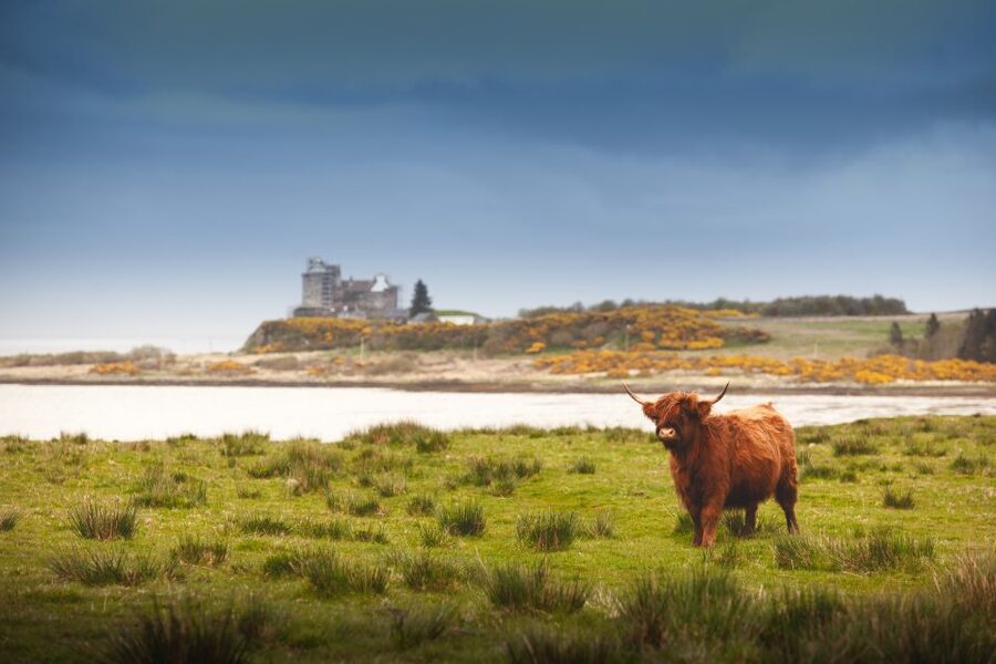 Scotland: West Highlands, Mull and Iona 4-Day Tour - Day one: Stirling, Rannoch Moor, and the road to Tobermory